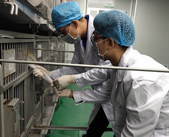 Abundant in vitro and in vivo efficacy testing models