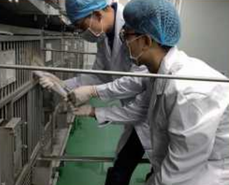 Abundant in vitro and in vivo efficacy testing models