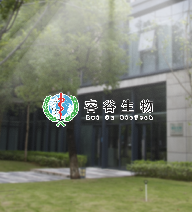 演示Banner2
